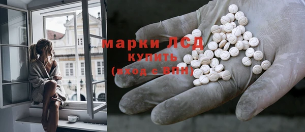 сатива Магадан