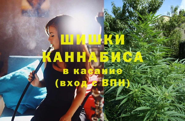 PSILOCYBIN Магас