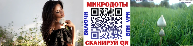 сколько стоит  Балаково  дарк нет Telegram  Галлюциногенные грибы MAGIC MUSHROOMS 