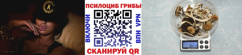 Галлюциногенные грибы мицелий Балаково