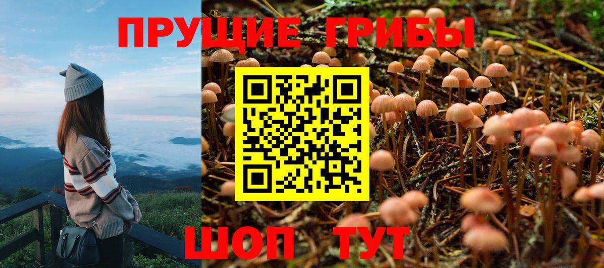 Галлюциногенные грибы Psilocybe  Галлюциногенные грибы мицелий  Балаково 