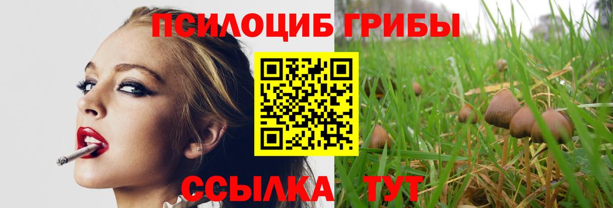 Псилоцибиновые грибы мицелий Балаково